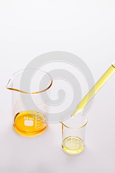 Two beakers with colorful liquids