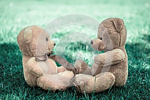Two Bear dolls