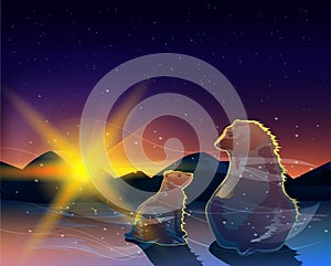 Two bears watching sunrise in the cold desert vector.