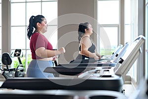 Two beautiful, Asian overweight women working out on treadmill in fitness club together. Weight loss workout, healthy lifestyle