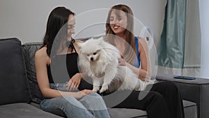 Two beautiful caucasian girls are sitting on the sofa and playing with a white Spitz. The Spitz lies on the laps of the