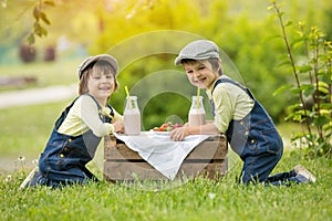 Two beautiful children, boy brothers, eating strawberries and co