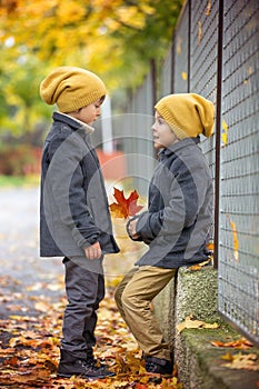 Two beautiful children, brothers, holding hands and talking in t