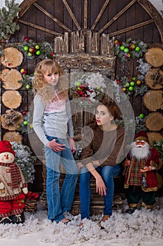 Two beautiful girls posing in Christmas decorations