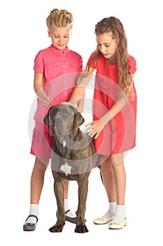 Two beautiful girls stroking a big dogs head photo