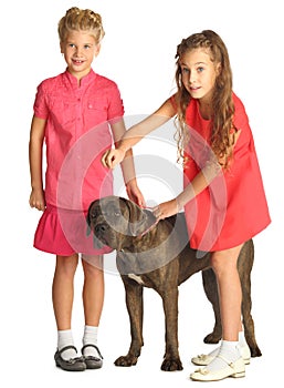Two beautiful girls are trained big dog isolated photo