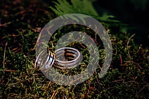 Two beautiful gold wedding rings lie on the green moss