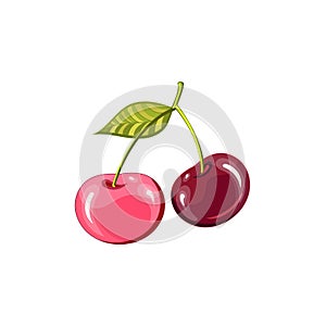 A two beautiful juicy ripe cherries