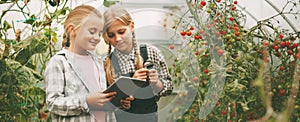 Two beautiful little girls examine small cherry tomatoes through a magnifying glass and write their research on a tablet