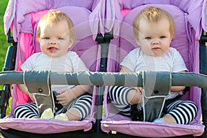 Two beautiful little twin babies portrait in baby