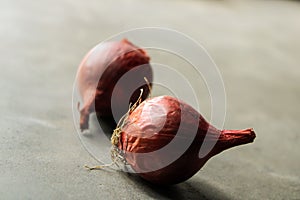 Two beautiful onion