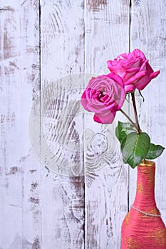 Two beautiful pink roses in a vintage bottle