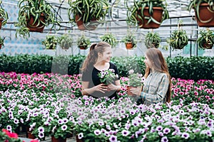 Two beautiful Slovenian girls in a greenhouse discussing seedlings of colorful flowers.