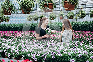 Two beautiful Slovenian girls in a greenhouse discussing seedlings of  flowers.