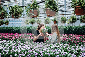 Two beautiful Slovenian girls in a greenhouse discussing seedlings of  flowers.