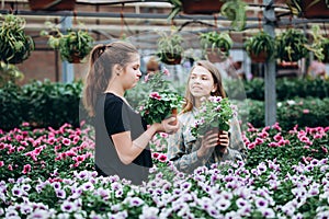 Two beautiful Slovenian girls in a greenhouse discussing seedlings of  flowers.