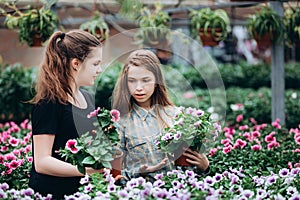 Two beautiful Slovenian girls in a greenhouse discussing seedlings of  flowers.