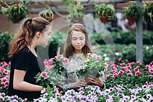 Two beautiful Slovenian girls in a greenhouse discussing seedlings of  flowers.