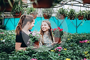 Two beautiful Slovenian girls in a greenhouse discussing seedlings of  flowers.