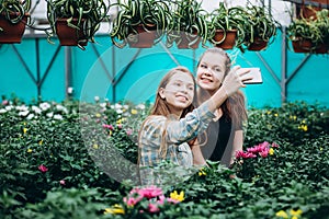 Two beautiful Slovenian girls take selfies in a greenhouse with spring petunia flowers.