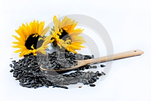 Two beautiful sunflowers and black seeds with a wooden spoon