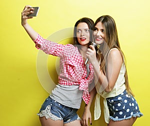 Two beauty hipster girls with a microphone take selfi