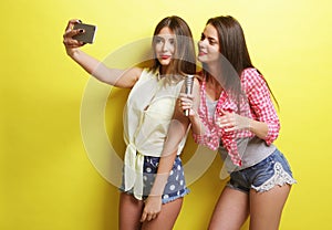 Two beauty hipster girls with a microphone take selfi