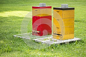 Two bee hives in the green grass