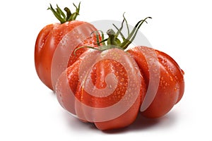 Two Beefsteak Tomatoes with Drops 1