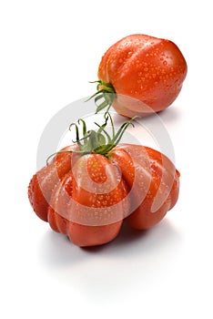 Two Beefsteak Tomatoes with Drops 3