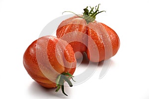 Two Beefsteak Tomatoes with Drops 5