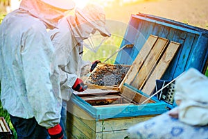 Two beekeepers work on an apiary. Summer