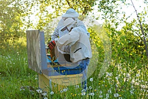 Two beekeepers work on an apiary. Summer