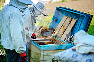 Two beekeepers work on an apiary. Summer