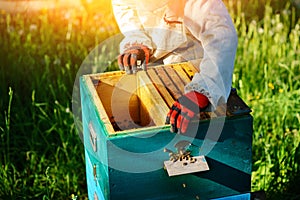 Two beekeepers work on an apiary. Summer