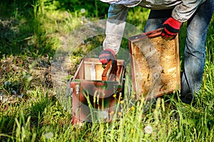 Two beekeepers work on an apiary. Summer