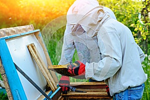 Two beekeepers work on an apiary. Summer