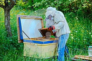 Two beekeepers work on an apiary. Summer