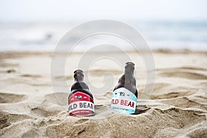 Two beer bottles buried in the sand