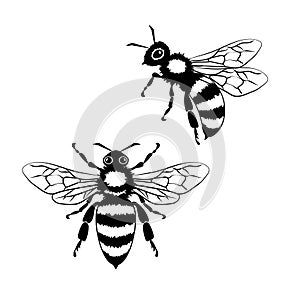 Two bees, editable