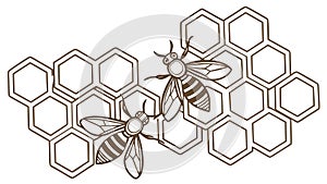 Two Bees on Honeycomb Vector Illustration, vector design Generative AI