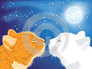 Two beloved cats on the night sky background.