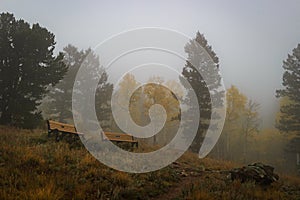 Two benches on a cold, misty, fall Rocky Mountain hillside in the morning