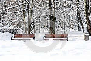Two benches covered with snow. Beautiful winter forest in the winter sunlight.