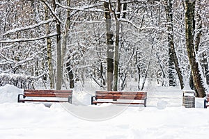 Two benches covered with snow. Beautiful winter forest in the winter sunlight.