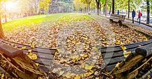 Two benches covered with yellow leaves in autumn Park.