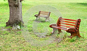 Two benches after rain