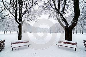 Two benchs in park during a snowfall. Snow covered. Tree alignment.