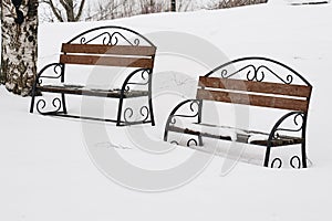 Two benchs in a snowy winter park