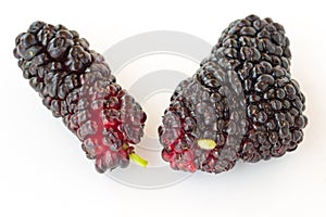 Two berries mulberry with a tail on white background